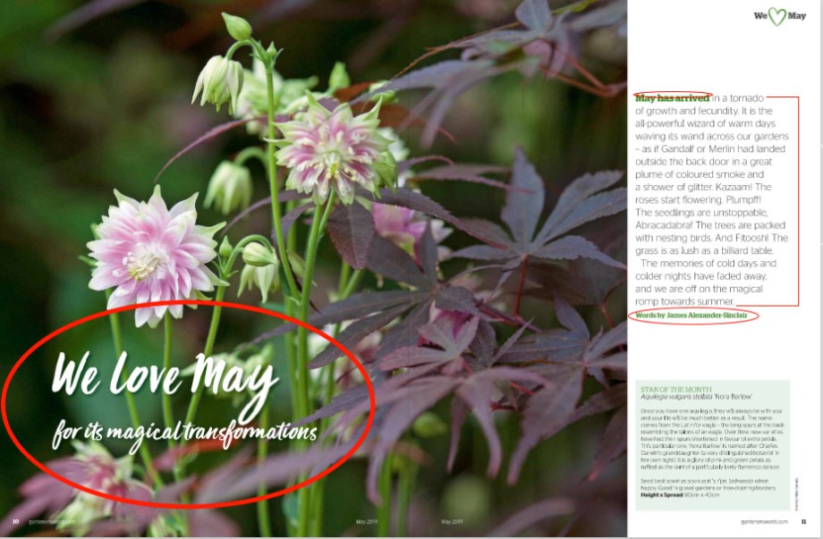 typography-differences